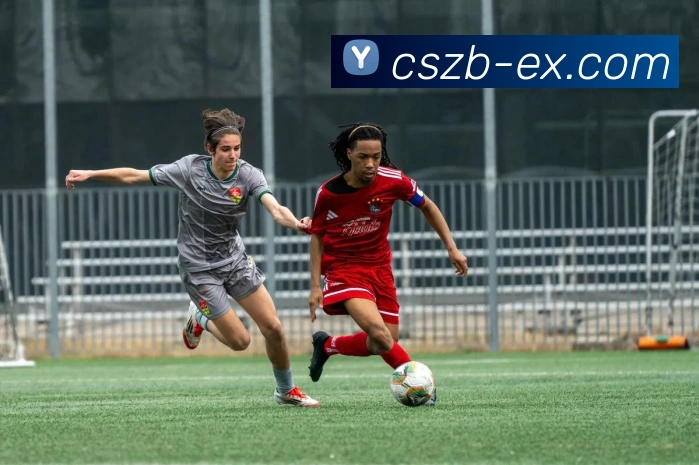 彩神争霸发展历程